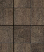  Тротуарная плитка Выбор Квадрат Б.3.К.8 100х100х80 мм Листопад Шелковица: внешний вид